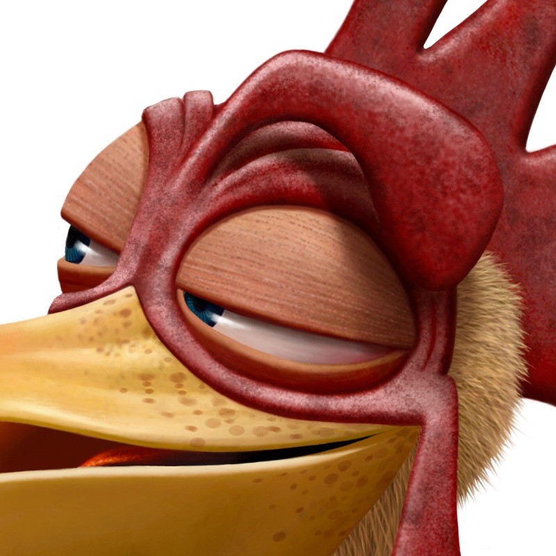 Close Up Chicken
